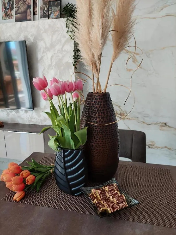 Apartment Green Oasis زادار